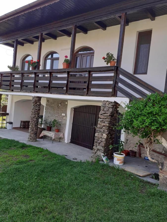 Casa de vacanta Mirela Novaci-Străini Exterior foto