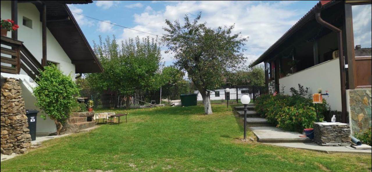 Casa de vacanta Mirela Novaci-Străini Exterior foto
